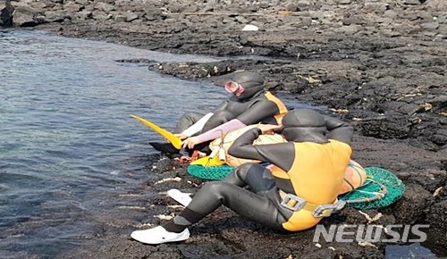 【제주=뉴시스】배상철 기자 = 제주시가 보급하는 유색 해녀복을 입은 제주 해녀들. 2018.06.25. (사진=제주시청 제공) bsc@newsis.com