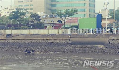 군산시 장미동에 자리한 '내항 호안시설' (사진 = 뉴시스 DB)
