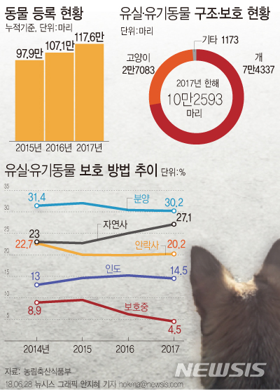 작년 버려졌다 구조된 반려동물 하루 281마리…20%는 안락사