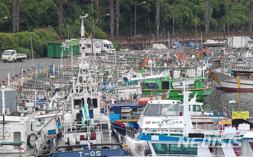 【서귀포=뉴시스】우장호 기자 = 지난해 7월 태풍 '난마돌' 북상 소식에 어선들이 서귀포항에 정박해 있는 모습. (사진=뉴시스DB)