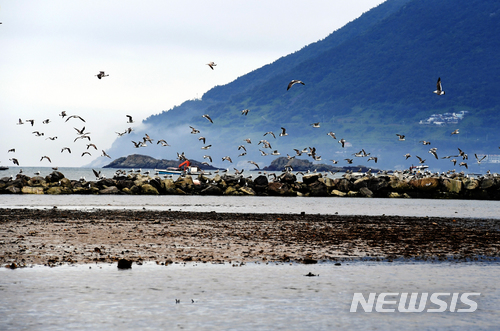 【남해=뉴시스】차용현 기자 = 장맛비가 잠시 소강상태를 보이고 있는 29일 오후 경남 남해군 이동면 신전마을 인근 바닷가에서 갈매기 한 무리가 바다 위를 날고 있다. 2018.06.29. con@newsis.com