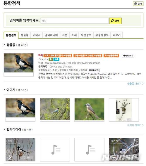 【세종=뉴시스】자생생물 정보 데이터베이스에서 '까치'를 검색했을 때 화면. 2018.07.01.(사진 = 국립생물자원관 제공)photo@newsis.com