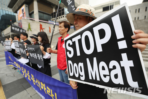 【서울=뉴시스】김진아 기자 = ‘동물구조 119’ 등 관계자들이 30일 서울 종로구 세종문화회관 계단 앞에서 개식용종식 국토대장정 발대식 기자회견을 하고 있다. 이들은 이번 기자회견을 시작으로 모란시장, 충청권, 호남권, 영남권, 강원권을 지나 서울로 돌아오는 여정으로 유기견 보호소에 들러 봉사활동과 사료지원을 기획했다. 2018.06.30. bluesoda@newsis.com