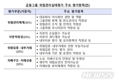 [금융그룹 통합감독]자본적정성·내부거래 등 위험관리실태 평가