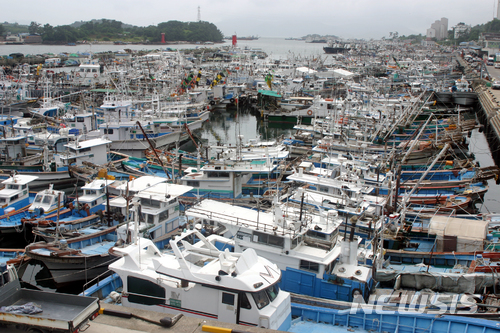 【여수=뉴시스】 김석훈 기자 = 1일 오후 제7호 태풍 '쁘라삐룬'이 많은 비바람을 뿌리며 남해안으로 향하자 전남 여수시 국동항에 소형어선과 중·소형 낚시어선들이 피항해 있다. 2018.07.01. kim@newsis.com