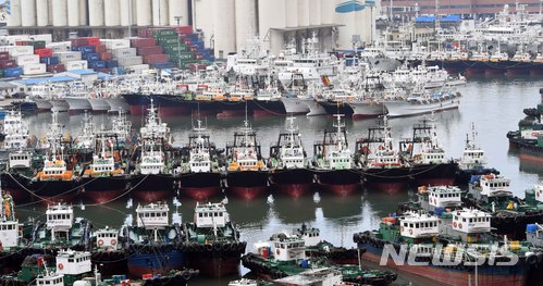 【부산=뉴시스】 하경민 기자 = 제7호 태풍 '쁘라삐룬'(PRAPIROON) 북상 소식이 전해진 지난 7월1일 부산 동구 부산항 5부두에 미리 대피한 선박들이 항구를 가득 메우고 있다. 2018.10.02 .yulnetphoto@newsis.com