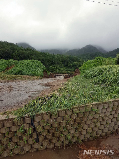 【보성=뉴시스】변재훈 기자 = 1일 보성군에 따르면 이날 오전 10시께 보성군 회천면 회령리 모원저수지 제방 50여m가 무너져 인근 농경지 약 3㏊가 유실돼 당국이 응급 복구에 나섰다. 2018.07.01 (사진=보성군 제공)photo@newsis.com