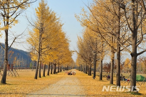 여주 강천면 3년간 인구 1444명↑ … "살기 좋다" 소문