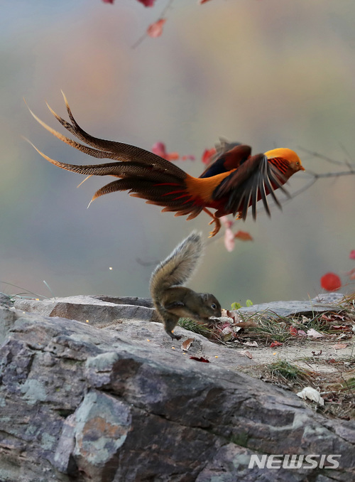 [원추 오늘의운세]쥐띠, 덫·약·고양이 걱정만 하다가는 굶어죽지
