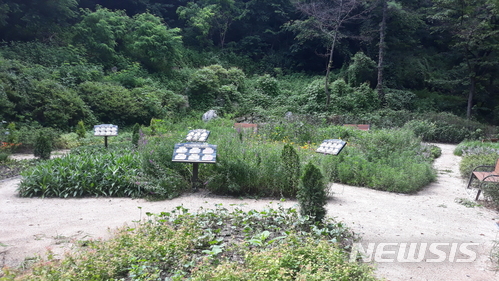 【서울=뉴시스】양천구는 지난 3일 용왕산근린공원에 면적 1900㎡의 숲속 자연학습장을 개장했다. 2018.07.06. (사진=양천구 제공)