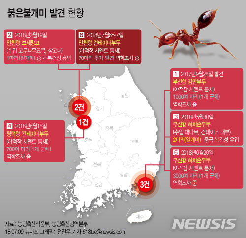 【서울=뉴시스】전진우 기자 = 정부는 7~8일 농림축산식품부·농림축산검역본부·환경부 등 관계기관과 학계 전문가 59명이 합동 조사를 벌여 7일 오후 일개미 70마리를 추가로 발견했다고 9일 밝혔다. 618tue@newsis.com