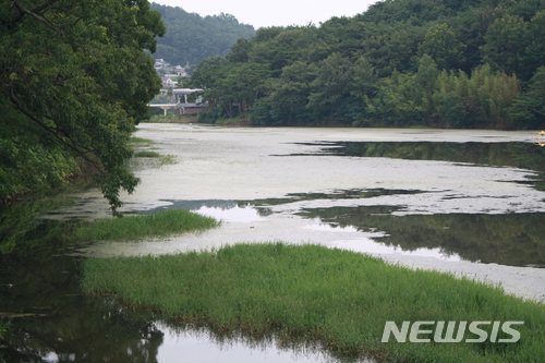 【진주=뉴시스】정경규 기자 = 15일 수초로 가득한 경남 진주시 금산면 금호지.2018.07.15. jkgyu@newsis.com