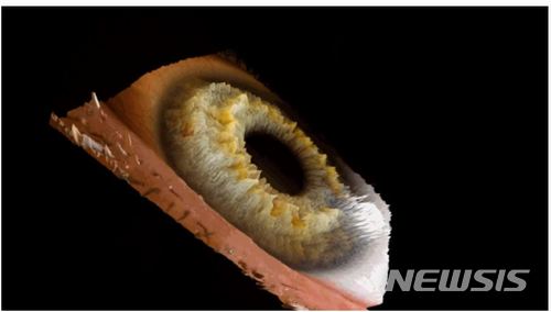 【서울=뉴시스】 OCI미술관 한윤정《Gaze & Trace》전시 