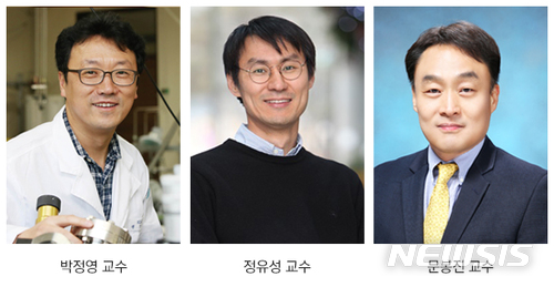 KAIST, 합금 촉매의 화학반응 실시간 관찰 성공