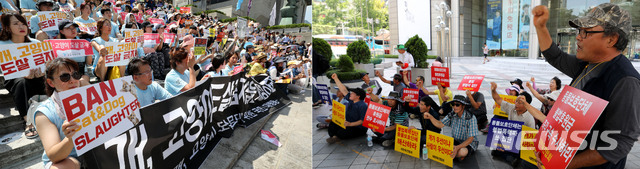 【서울=뉴시스】박주성 기자 = 동물보호단체 회원들(왼쪽)과 대한육견협회 회원들이 15일 오후 서울 세종문화회관 앞과 동화면세점 앞에서 각각 개, 고양이 도살금지법 제정을 촉구하는 집회와 생존권 보장과 동물 보호단체 불법후원금 수사를 촉구하는 집회를 하고 있다. 2018.07.15. park7691@newsis.com