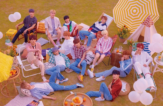 세븐틴·뉴이스트 소속사, 두고보자 악플러···법적대응
