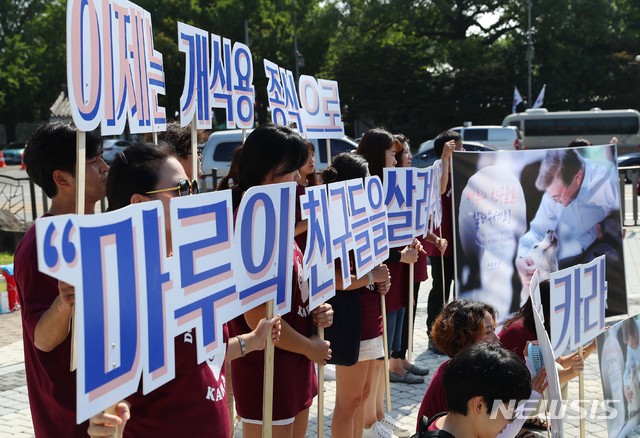 【서울=뉴시스】전신 기자 = 초복인 지난 7월17일 청와대 앞 분수대 광장에서 동물권 행동 카라 회원들이 기자회견을 열고 개식용 종식을 촉구하고 있다. 2018.07.17. photo1006@newsis.com