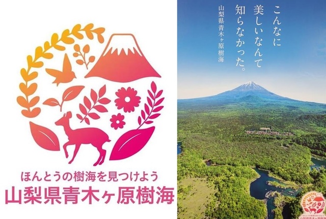 일본, '자살의 숲' 부정적 이미지 쇄신에 주력