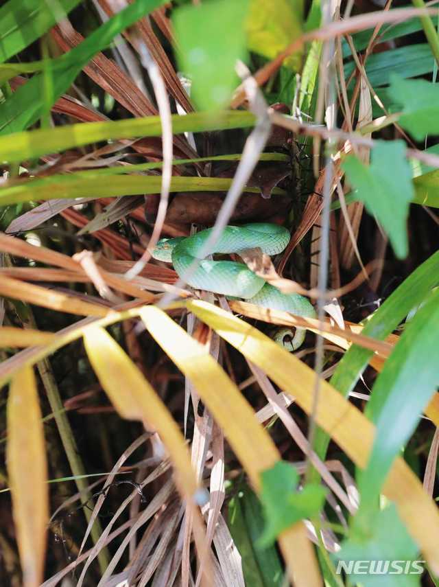 [원추 오늘의운세]뱀띠, 남의 것 욕심내지 마세요