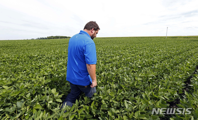 【클레어먼트( 미 미네소타주)= AP/뉴시스】 도널드 트럼프 미국대통령의 대 중국 관세 폭탄으로 중국측 보복관세 대상이 된 미국산 콩을 주로 생산하는 미네소타주의 콩 생산 농원.&nbsp; 미국의 주지사들은 19일(현지시간) 연례 총회에서 미국산 농축산물의 더 큰 피해를 막기 위해 두 나라가 무역전쟁을 중지할 것을 호소하면서 주 정부들의 독자적 해외시장 개척과 투자 유치대책을 논의했다. 2018.07.20&nbsp; 