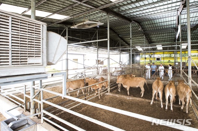 [해남=뉴시스] 해남군 삼산면 한우농가. photo@newsis.com