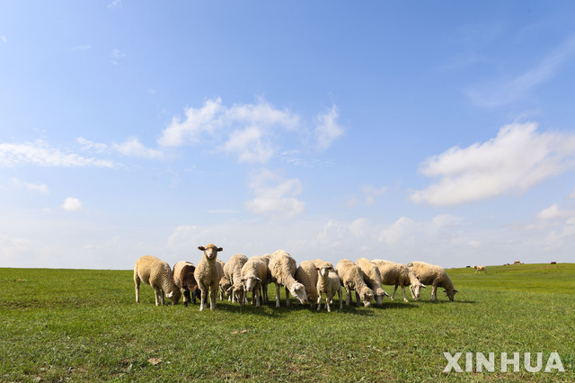 [원추 오늘의운세]양띠, 가족때문에 신경 쓸 일 생겨요