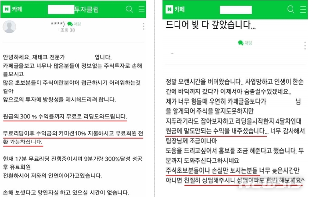 【서울=뉴시스】투자자를 유인하기 위한 가짜 인터넷 홍보글(자료=금융감독원)