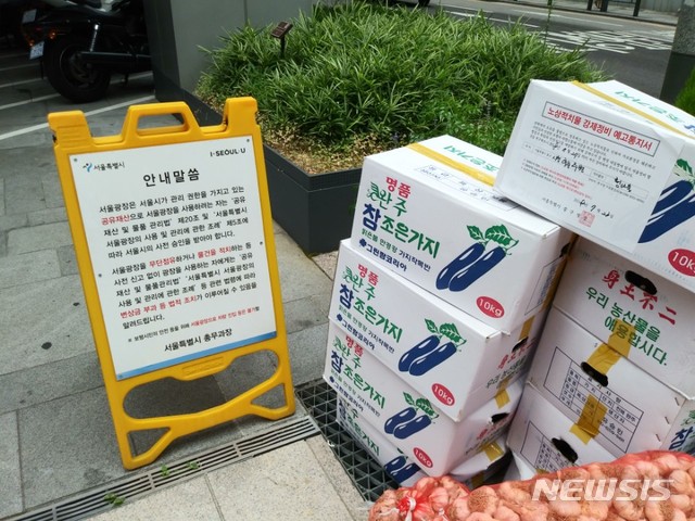 서울시청앞 웬 청과물 더미…숨은 사연은?