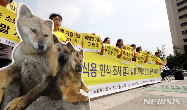 【서울=뉴시스】고범준 기자 = 동물자유연대, 카라 회원들이 중복인 지난 7월 27일 서울 종로구 광화문광장 세종대왕동상 앞에서 개식용 인식 조사 결과 발표 기자회견을 하고 있다. 2018.07.27. bjko@newsis.com