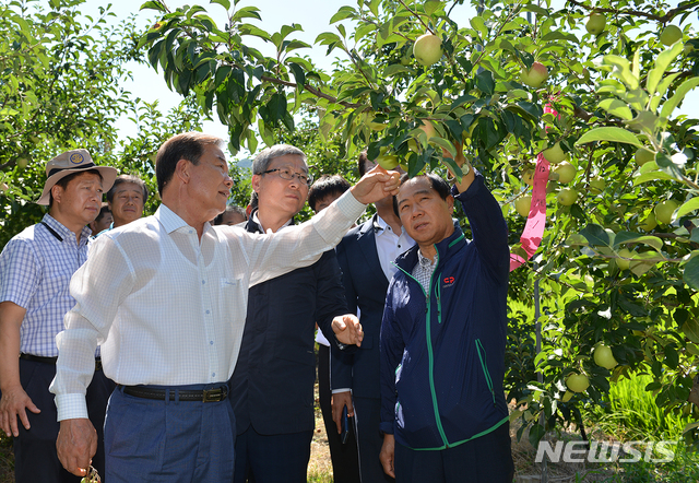 NH농협손해보험 오병관 대표이사가 지난 1일 경북 문경시 사과농가를 방문해 재해현황을 파악하고 있다. (자료제공 = NH농협손해보험)