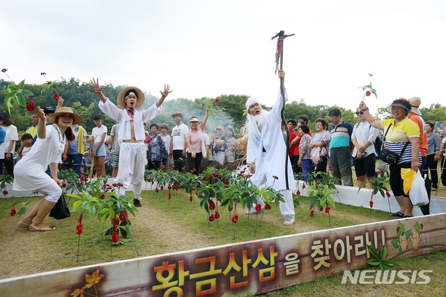 【함양=뉴시스】정경규 기자 = 경남 함양산삼엑스포.