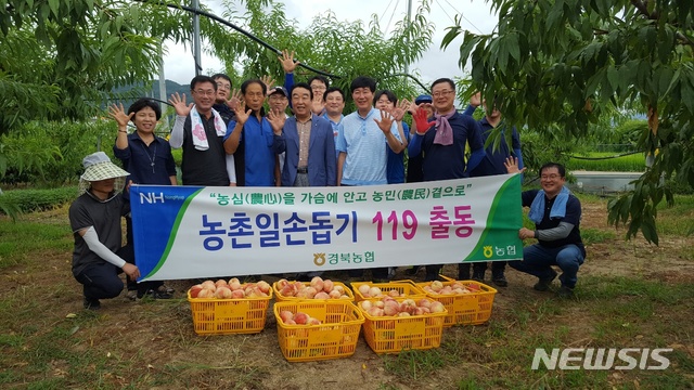 경북농협은 7일 경북 칠곡군 약목면 무림리에 위치한 복숭아 농가에서 농촌일손돕기를 실시했다.