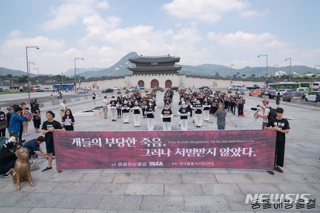 【서울=뉴시스】 윤슬기 기자 = 말복이 일주일 앞으로 다가온 가운데 동물권단체들은 청와대의 '가축에서 개가 빠질 수 있도록 관련 규정 정비를 검토하겠다'는 입장에 대해 해결방법에 대한 구체적 내용이 전무하다고 비판했다. (사진=동물해방물결 제공) yoonseul@newsis.com