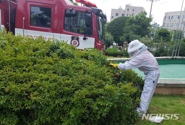경북 벌쏘임·예초기 사고 절반 '8~9월'…'이 수칙' 꼭 준수