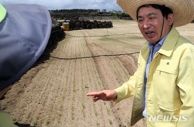 【제주=뉴시스】배상철 기자 = 원희룡 제주도지사가 13일 오전 제주시 구좌읍 월정리를 방문해 농민들의 애로사항을 듣고 피해상황을 점검하고 있다. 2018.08.13. (사진=제주도청 제공) bsc@newsis.com