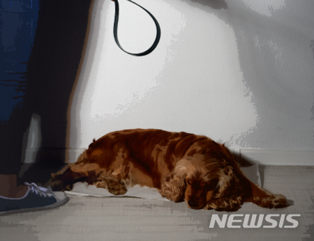 【서울=뉴시스】 