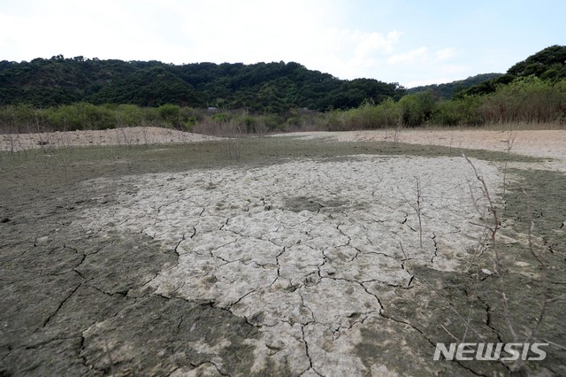 【공주=뉴시스】김선웅 기자 = 폭염으로 인한 극심한 가뭄이 이어진 13일 오후 충남 공주시 의당면 중흥저수지가 바닥을 드러내고 있다. 2018.08.13. mangusta@newsis.com