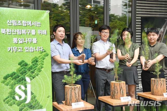 【대전=뉴시스】김양수 기자 = 산림조합중앙회는 제73회 광복절을 맞아 서울 송파구 산림조합중앙회 1층 티숨 카페 앞에서 오는 20일까지 '통일나무 전시회'를 연다고 14일 밝혔다.이곳에 전시되는 나무들은 강원 철원군 '철원군산림조합'이 북한 산림복구를 위해 조성한 통일양묘장에서 자란 나무들로 낙엽송과 소나무 묘목 등이다. 전시기간동안 산림조합은 통일나무와 함께 찍은 사진에 해시태그를 달아 SNS에 게시한 네티즌 100명에게 임산물 교환권을 증정키로 했다.2018.08.14(사진=산림조합중앙회 제공) photo@newsis.com