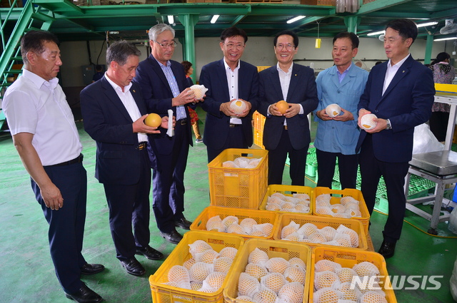 【울산=뉴시스】안정섭 기자 = 울산지역에서 수확된 배가 전국 단위 품평회에서 최고상과 으뜸상을 연이어 수상하며 뛰어난 맛과 우수한 품종을 전국에 널리 알리고 있다. 사진은 지난 8월 열린 울산 울주배 미국 첫 수출 환송행사 모습. 2018.11.02. (사진=뉴시스DB) photo@newsis.com