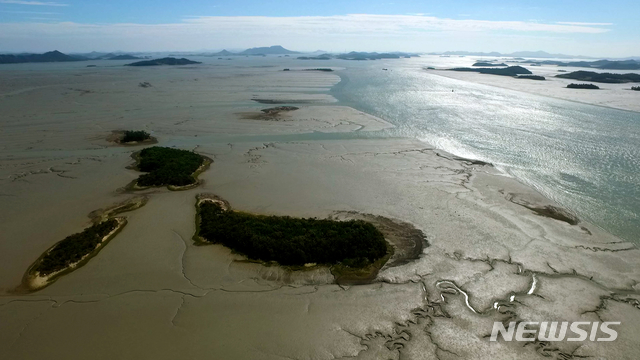 신안 갯벌