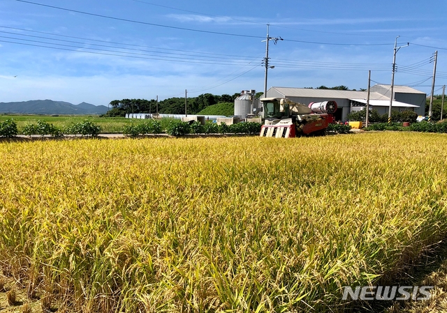 【부안=뉴시스】고석중 기자 = 18일 오전 부안군 보안면 유천뜰에서 벼베기 수확이 이뤄지고 있다. 2018.08.18. (사진=부안군 제공) photo@newsis.com