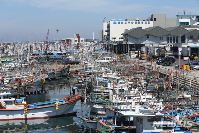 【제주=뉴시스】배상철 기자 = 제19호 태풍 ‘솔릭’의 간접 영향권에 들어선 21일 오후 제주 서귀포시 성산항에 피항한 선박이 몰려 있다. 기상청은 태풍 솔릭이 오는 22일부터 제주에 영향을 미칠 것으로 보고 있다. 2018.08.21.&nbsp; bsc@newsis.com 