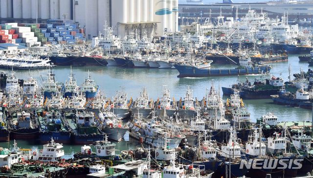 【부산=뉴시스】 하경민 기자 = 제19호 태풍 '솔릭'이 한반도를 향해 북상 중인 가운데 21일 오후 부산항 5부두에 각종 선박들이 대피해 있다. 2018.08.21. yulnetphoto@newsis.com