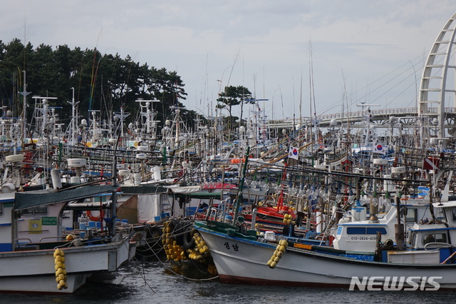 【제주=뉴시스】강정만 기자 = 제19호 태풍 '솔릭'의 영향으로 22일 오전 제주도 서귀포시 서귀포항에 어선들이 피항해 있다. 2018.08.22   kjm@newsis.com