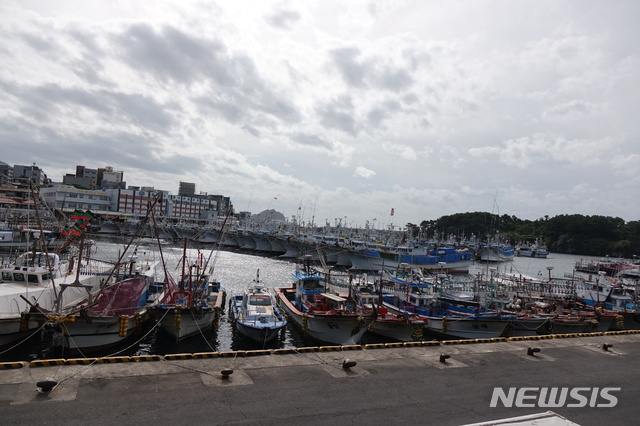 【제주=뉴시스】강정만 기자 = 제19호 태풍 '솔릭'의 영향으로 22일 오전 제주도 서귀포시 서귀포항에 어선들이 피항해 있다. 2018.08.22 kjm@newsis.com