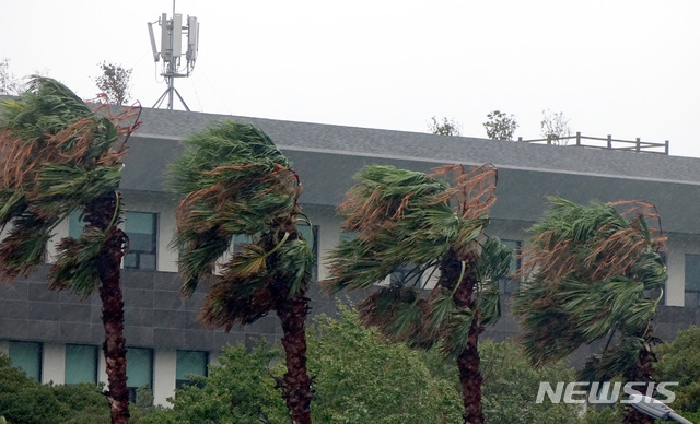 【제주=뉴시스】강정만 기자 = 제19호 태풍 '솔릭'이 제주에 근접한 23일 오전 7시 께 제주시 연동 제주도의회 앞에 심어진 야자수가 몰아치는 비바람에 금세 꺾일 듯 휘어지고 있다. 2018.08.23 kjm@newsis.com