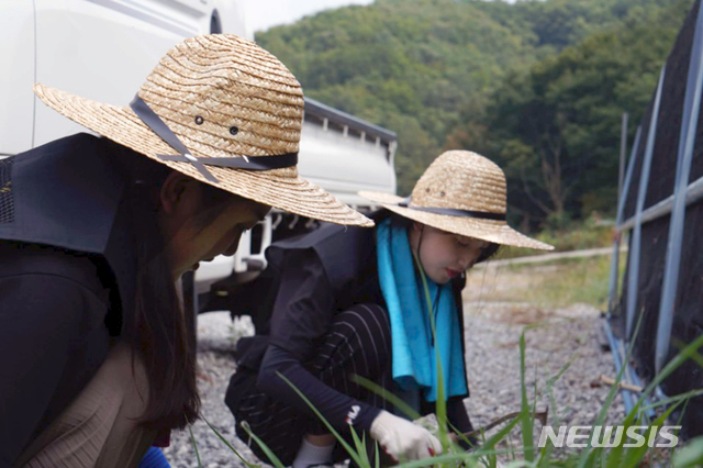 【대전=뉴시스】유순상 기자 = 한밭대가 총동아리연합회 주관으로 23일 충남 청양군 산꽃마을에서 농촌봉사활동을 벌인 가운데 참가 학생들이 잡초를 뽑고 있다. 지난 20일부터 3박 4일동안 마을 주민들과 함께 고추 따기, 비닐하우스 설치 등으로 구슬땀을 흘렸다. 2018.08.23.(사진=한밭대 제공) ssyoo@newsis.com