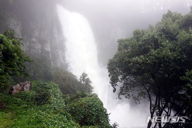 【제주=뉴시스】강정만 기자 = 지난 8월 제주도에 많은 비가 내리면서 가물면 흐르지 않던 서귀포시 강정동에 있는 엉또폭포가 폭포수를 쏟아내며 장관을 연출하고 있다. 2018. 08.23 kjm@newsis.com