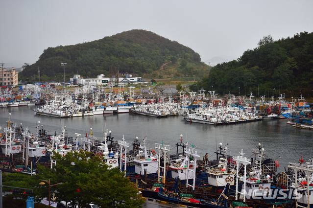 【목포=뉴시스】변재훈 기자 = 제19호 태풍 '솔릭(SOULIK)'이 전남 서남해안 지역으로 북상하는 가운데 23일 오전 목포시 항동 목포항구에 선박들이 피항해 있다. 2018.08.23. wisdom21@newsis.com