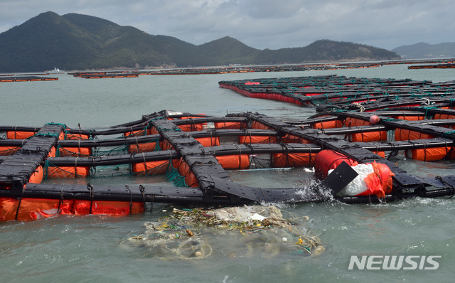 【완도=뉴시스】변재훈 기자 = 19호 태풍 '솔릭(SOULIK)'이 지나간 24일 오후 전남 완도군 완도읍 망남리의 전복 가두리 양식장이 망가져 있다. 2018.08.24.photo@newsis.com